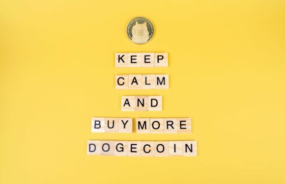 Dogecoin, Cardano Price Analysis – 16 August